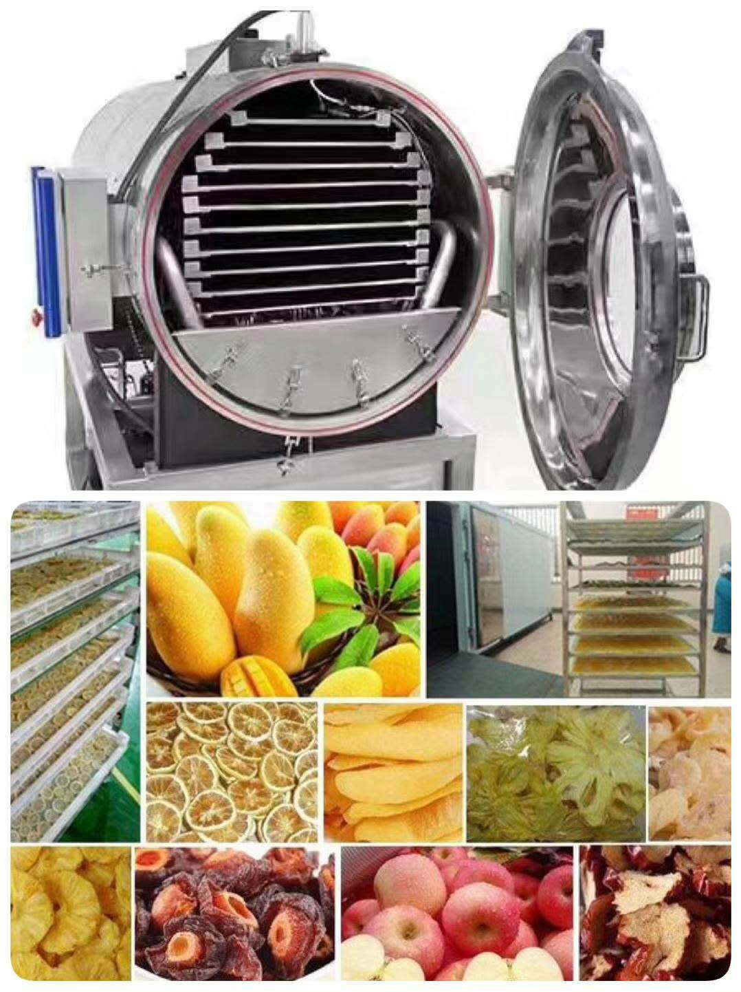 果蔬凍干機(jī)