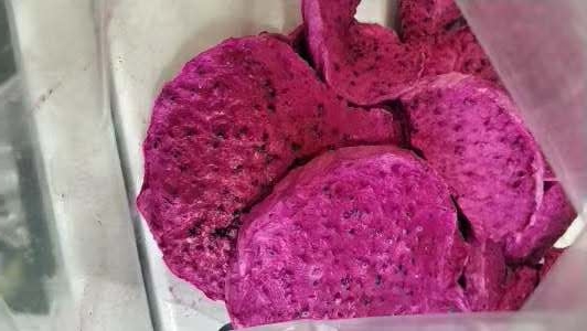 火龍果凍干機凍干效果圖